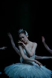 2015年Kバレエ カンパニー『白鳥の湖』より（C）瀬戸秀美